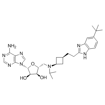 (2R,3R,4S,5R)-2-(6-aMino-9H-purin-9-yl)-5-((((1r,3S)-3-(2-(5-(tert-butyl)-1H-benzo[d]iMidazol-2-yl)ethyl)cyclobutyl)(isopropyl)aMino)Methyl)tetrahydrofuran-3,4-diol structure, CAS 1380288-87-8