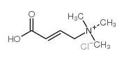 LEVOCARNITINE RELATED COMPOUND A (100 MG) (3-CARBOXY-N,N,N-TRIMETHYL-2-PROPEN-1-AMINIUM CHLORIDE) structure, CAS 6538-82-5