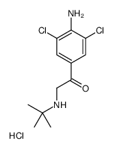 1-(4-Amino-3,5-dichloro-phenyl)-2-tert-butylamino-ethanone Hydrochloride structure, CAS 37845-71-9