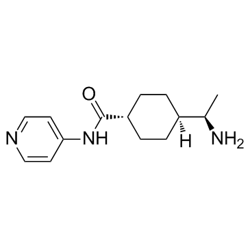 Y-27632 DIHYDROCHLORIDE structure, CAS 146986-50-7