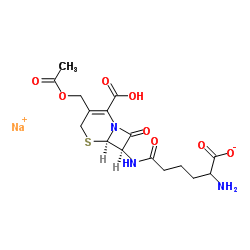 sodium hydrogen [6R-[6alpha,7beta(R*)]]-3-(acetoxymethyl)-7-[(5-amino-5-carboxylato-1-oxopentyl)amino]-8-oxo-5-thia-1-azabicyclo[4.2.0]oct-2-ene-2-carboxylate structure, CAS 51762-04-0