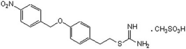 2-[2-[4-(4-Nitrobenzyloxy)phenyl]ethyl]isothioureamesylate structure, CAS 182004-65-5