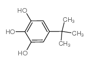 5-tert-Butylpyrogallol structure, CAS 20481-17-8