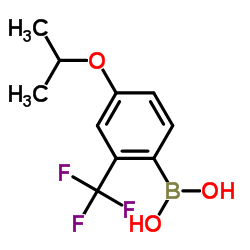 4-Isopropoxy-2-trifluoromethylphenylboronicacid structure, CAS 313545-40-3