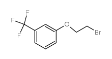 1-(2-Bromoethoxy)-3-(trifluoromethyl)benzene structure, CAS 18800-39-0