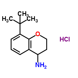 8-Tert-butylchroman-4-amine structure, CAS 890839-83-5