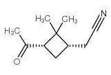 (1S,3S)-3-Acetyl-2,2-dimethylcyclobutaneacetonitrile structure, CAS 28353-00-6