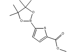 5-(4,4,5-Trimethyl-[1,3,2]dioxaborolan-2-yl)thiophene-2-carboxylicacidmethylester structure, CAS 916138-13-1
