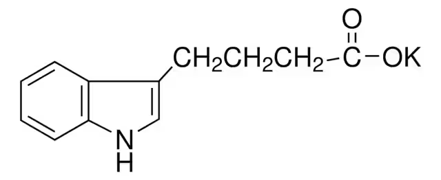 Indole-3-butyricacidpotassiumsalt structure, CAS 60096-23-3