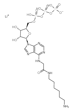 N6-([6-Aminohexyl]carbamoyl-methyl)adenosine5'-triphosphatelithiumsalt structure, CAS 102185-24-0
