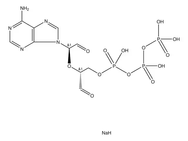 Adenosine5'-triphosphate,periodateoxidizedsodiumsalt structure, CAS 71997-40-5