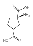 1-Amino-cis-cyclopentane-1,3-dicarboxylicacid structure, CAS 39026-63-6
