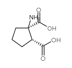 1-Aminocyclopentane-cis-1,2-dicarboxylicacid structure, CAS 39026-64-7