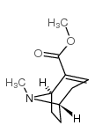 Ecgonidinemethylestermesylate structure, CAS 43021-26-7