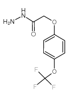 4-(Trifluoromethoxy)phenoxyaceticacidhydrazide structure, CAS 175204-36-1