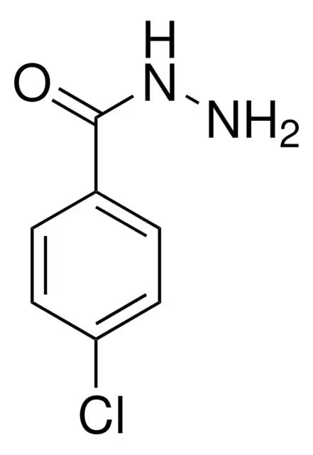 4-Chlorobenzhydrazide structure, CAS 536-40-3