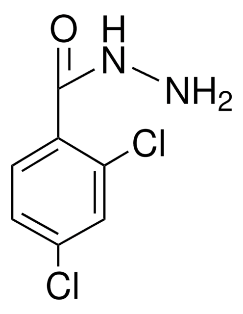 2,4-Dichlorobenzhydrazide structure, CAS 5814-06-2
