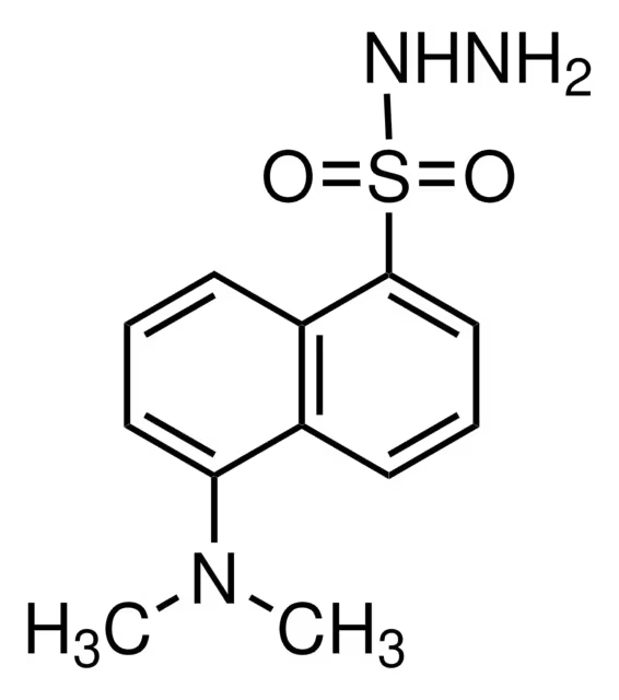 1-Dimethylaminophthalene-5-sulphonylhydrazine structure, CAS 33008-06-9