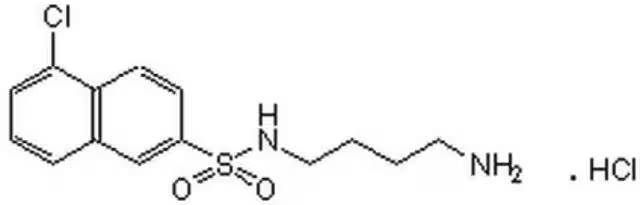 N-(4-Aminobutyl)-5-chloro-2-naphthalenesulfonamideHCl structure, CAS 88519-57-7