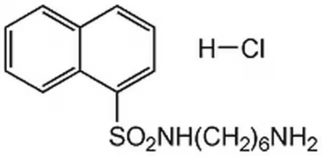 N-(6-Aminohexyl)-1-naphthalenesulfonamideHCl structure, CAS 61714-25-8