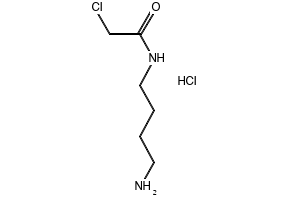 N-(4-Aminobutyl)-2-naphthalenesulfonamideHCl structure, CAS 89108-46-3
