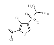 3-Chloro-4-(isopropylsulfonyl)thiophene-2-carbonylchloride structure, CAS 175202-28-5