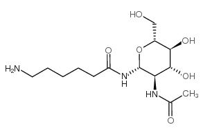 2-Acetamido-N-(E-Aminocarproyl)-2-deoxy-beta-D-glucopyranosylamine structure, CAS 112898-10-9