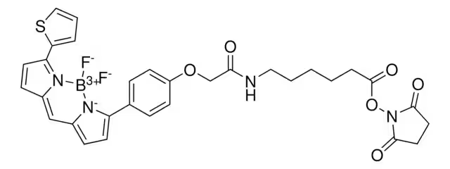 (S)-3-Amino-4-(2-thienyl)butanoicacidhydrochloride structure, CAS 270065-91-3