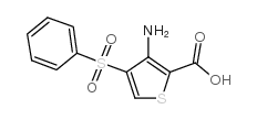 3-Amino-4(Phenylsulfonyl)Thiophene-2-CarboxylicAcid structure, CAS 175201-59-9