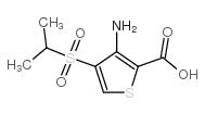 3-Amino-4-(Ispropylsulfonyl)Thiophene-2-CarboxylicAcid structure, CAS 175201-89-5