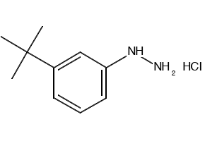 1-[3-(Tert-Butyl)phenyl]hydrazinehydrochloride structure, CAS 306937-27-9