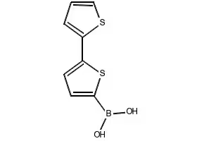 2,2'-Bithiophene-5-boronicacid structure, CAS 132898-95-4