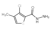 3-Chloro-4-Methylthiophene-2-Carbohydrazide structure, CAS 175137-12-9