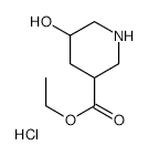 Ethyl5-Hydroxypiperidine-3-carboxylateHydrochloride structure, CAS 1207194-49-7
