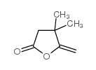 4,4-Dimethyl-5-methylene-gamma-butyrolactone structure, CAS 65371-43-9