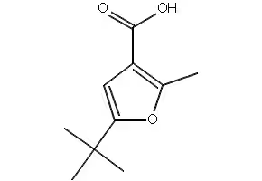 5-tert-Butyl-2-methylfuran-3-carboxylicacid structure, CAS 38422-62-7