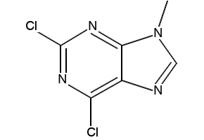 2,6-Dichloro-9-methyl-9H-purine structure, CAS 2382-10-7
