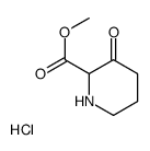 Methyl3-oxopiperidine-2-carboxylatehydrochloride structure, CAS 1219141-01-1