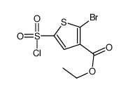 ethyl2-bromo-5-(chlorosulfonyl)thiophene-3-carboxylate structure, CAS 1245647-67-9