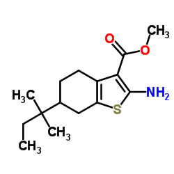2-Amino-6-(1,1-dimethylpropyl)-4,5,6,7-tetrahydrobenzo[b]thiophene-3-carboxylicacidmethylester structure, CAS 351981-10-7