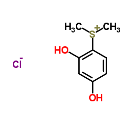 Dimethyl-2,4-dihydroxyphenylsulfoniumchloride structure, CAS 193684-62-7