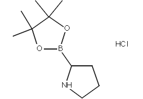Piperidine,2-(4,4,5,5-tetramethyl-1,3,2-dioxaborolan-2-yl)-,hydrochloride structure, CAS 811439-31-3