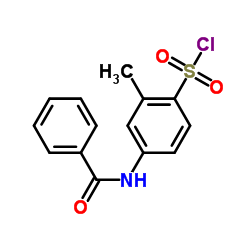 4-Benzoylamino-2-methylbenzenesulfonylchloride structure, CAS 728864-73-1