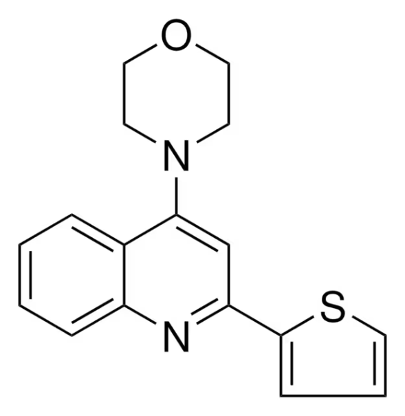 2-Thiophen-2-yl-quinoline-4-carboxylicacidhydrazide structure, CAS 39072-28-1