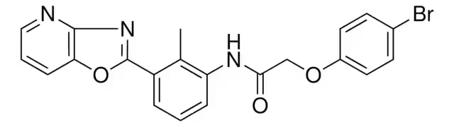 N-(2-Methyl-5-oxazolo[4,5-b]pyridin-2-yl-phenyl)-3-nitrobenzamide structure, CAS 331866-23-0