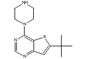 6-tert-Butyl-3H-thieno[3,2-d]pyrimidin-4-one structure, CAS 215928-65-7