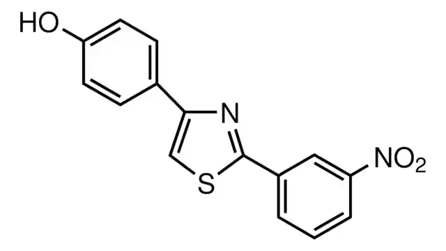 4-(4-Methyl-3-nitrophenyl)thiazol-2-ylamine structure, CAS 675602-95-6