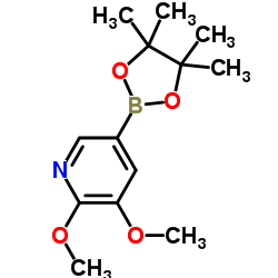 2,3-dimethoxy-5-(4,4,5,5-tetramethyl-1,3,2-dioxaborolan-2-yl)pyridine structure, CAS 1083168-92-6