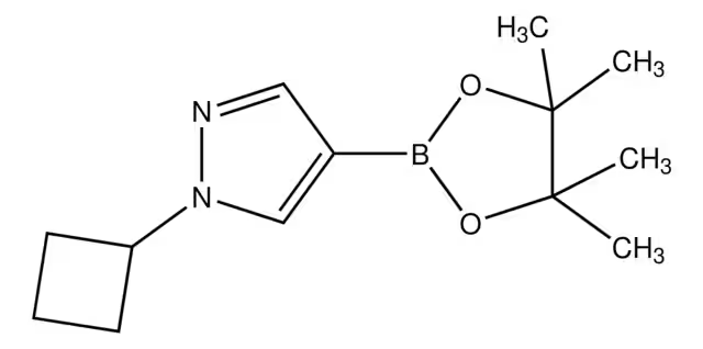 1H-Pyrazole,1-cyclobutyl-4-(4,4,5,5-tetramethyl-1,3,2-dioxaborolan-2-yl)- structure, CAS 1002309-48-9