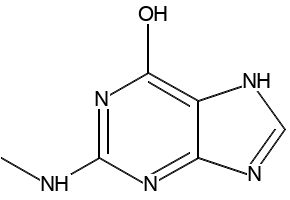 6-HYDROXY-2-METHYLAMINOPURINE structure, CAS 10030-78-1